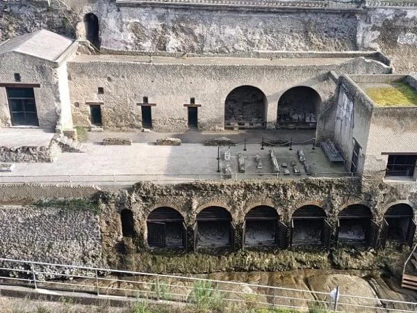 Herculaneum with Guide and Wine Tasting Tour from Naples