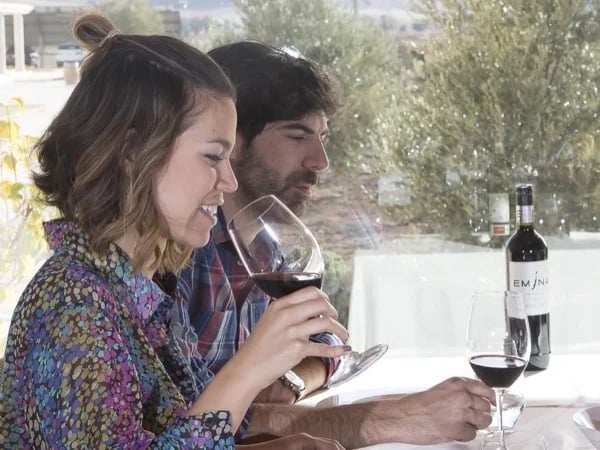 Ribera del Duero Wine Tour from Madrid - Exclusive !!