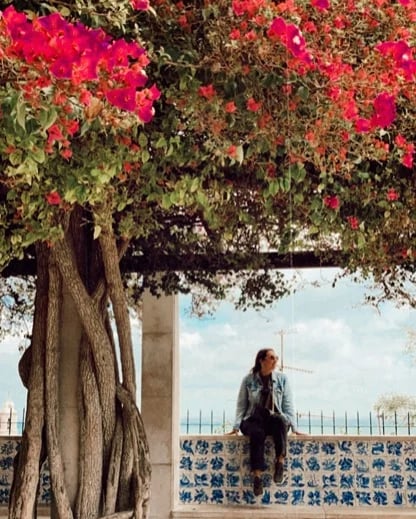Cristina P.'s gallery