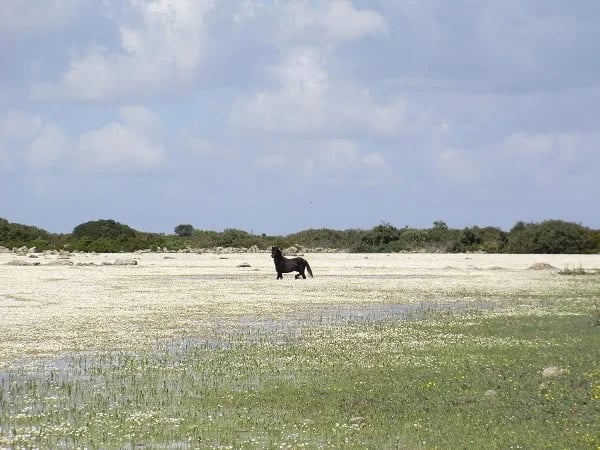 Cover media image