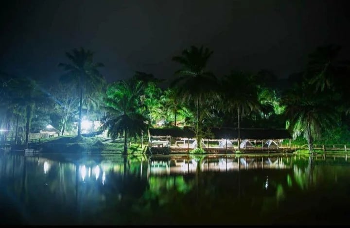 Mohamed M.'s gallery