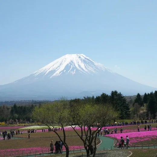 Shoji K.'s gallery