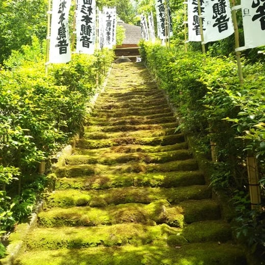 Shoji K.'s gallery