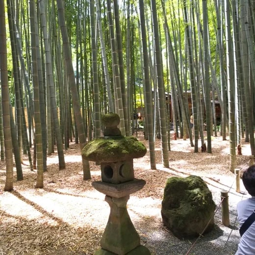 Shoji K.'s gallery