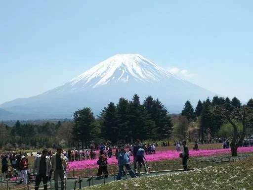 Shoji K.'s gallery