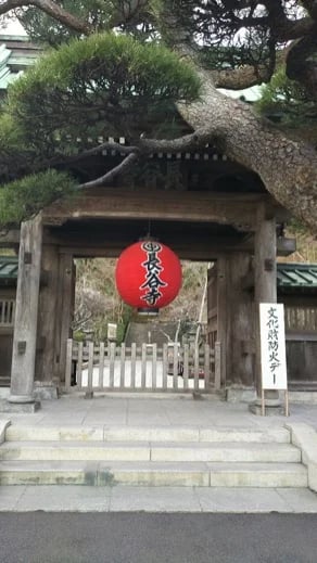 Shoji K.'s gallery
