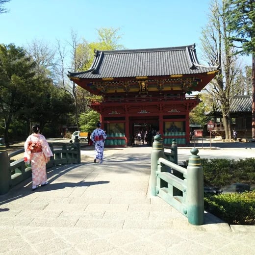 Shoji K.'s gallery