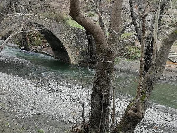 Full-Day Private Tour to the famous Kykkos monastery ,forest scenery, byzantine art...