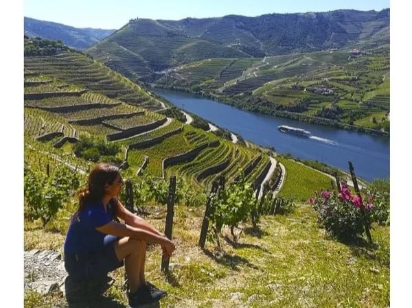 Private Full Day tour in Douro Valley From Porto