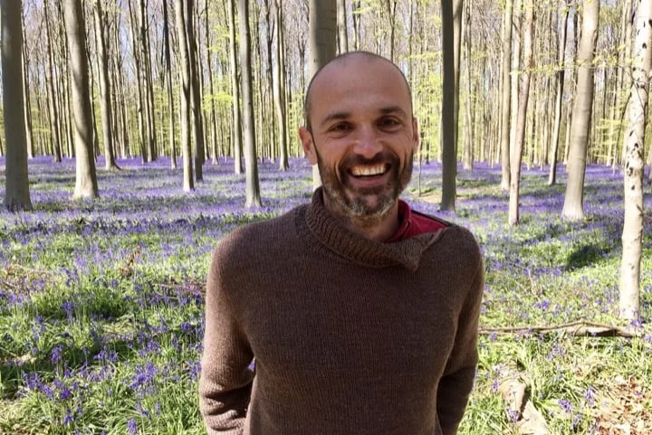 In the Hallerbos, de most famous Blue-forest during the spring