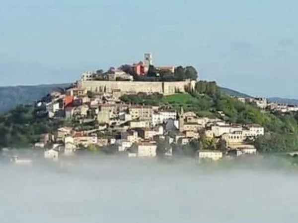 Cover media image