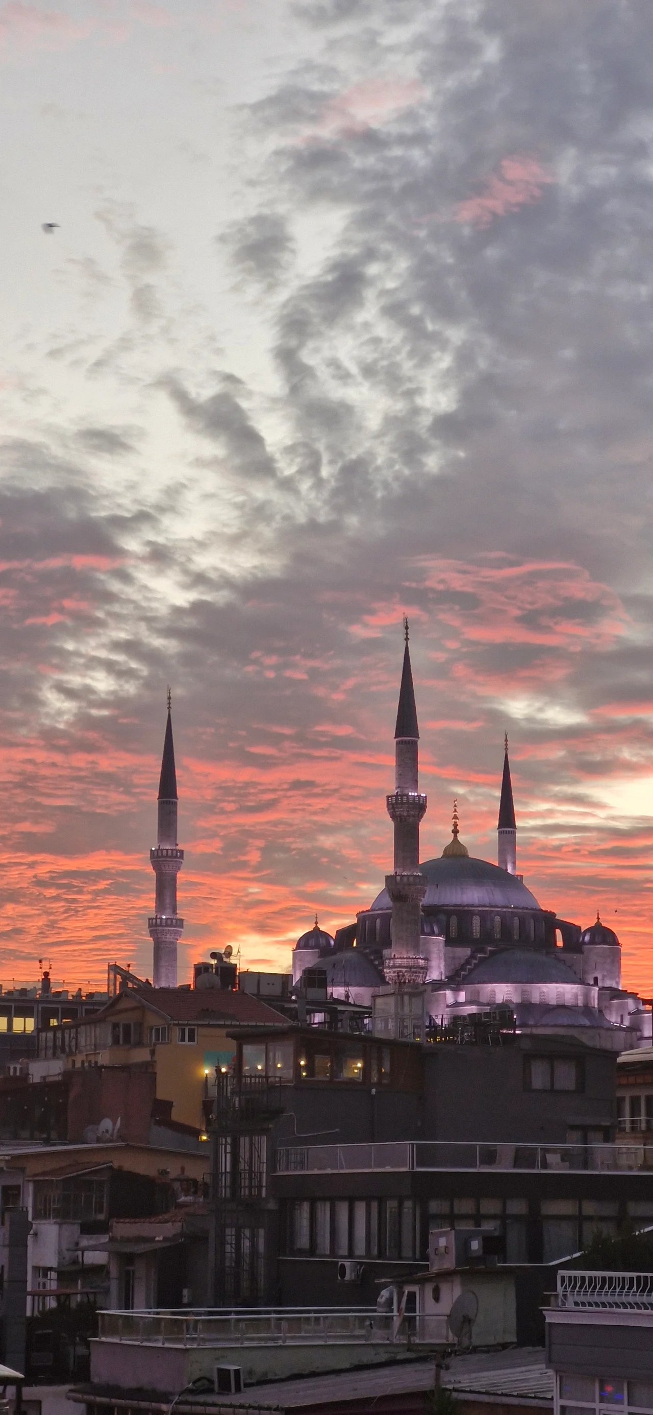Cover media image