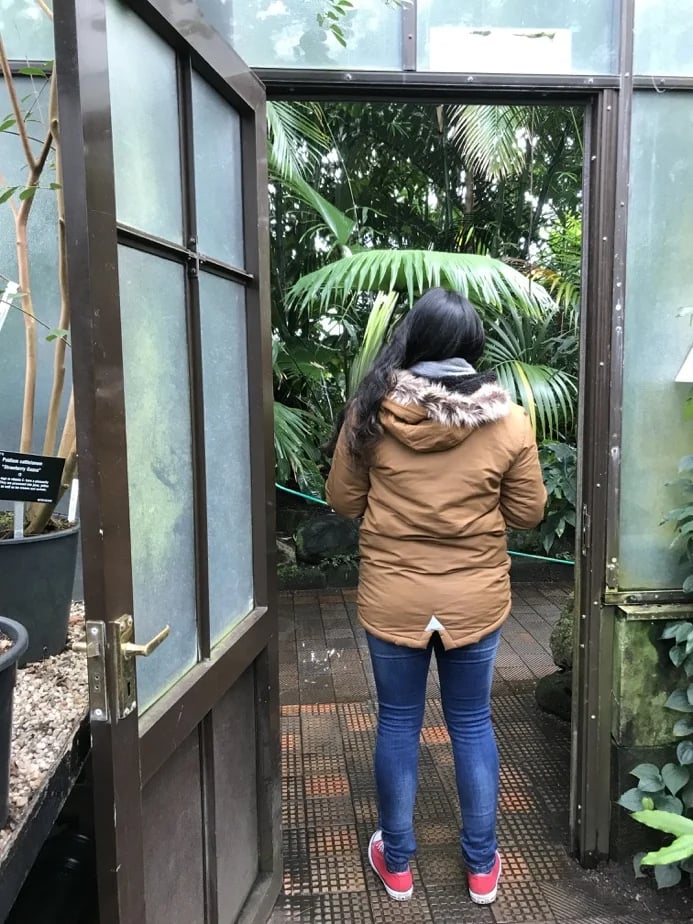 Beth F.'s gallery