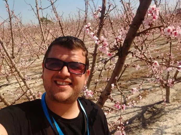 Peach Trees Blossom