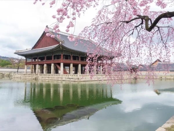 Cover media image