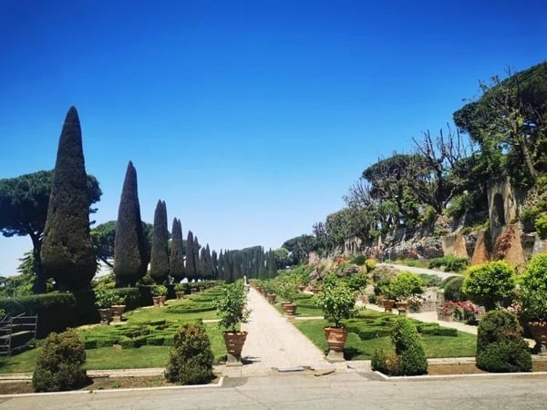 Cover media image