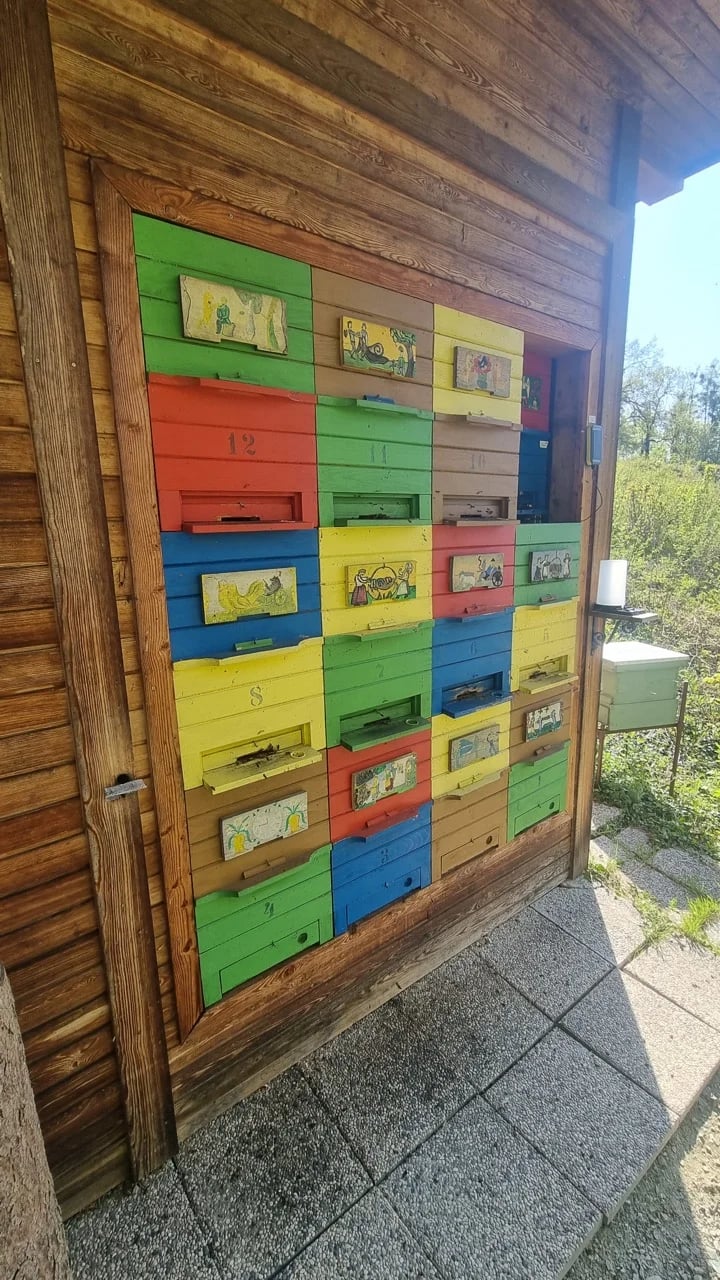 Bzzzzzzz