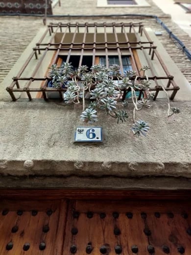 untitled 33