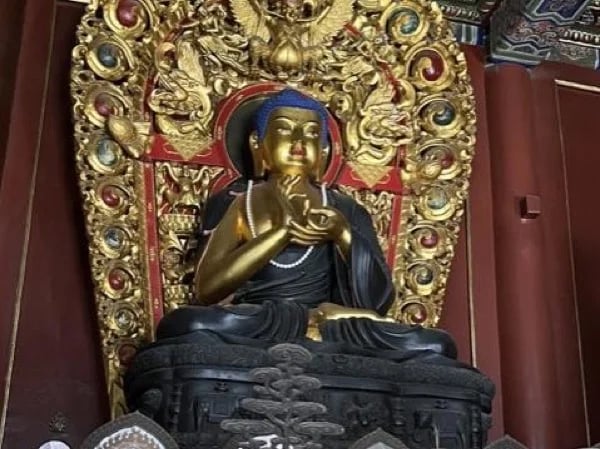 Cover media image
