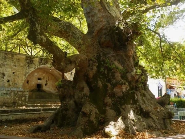 Between the Myths & Locals: Zeus Cave & Lassithi Plateau Villages from Heraklion