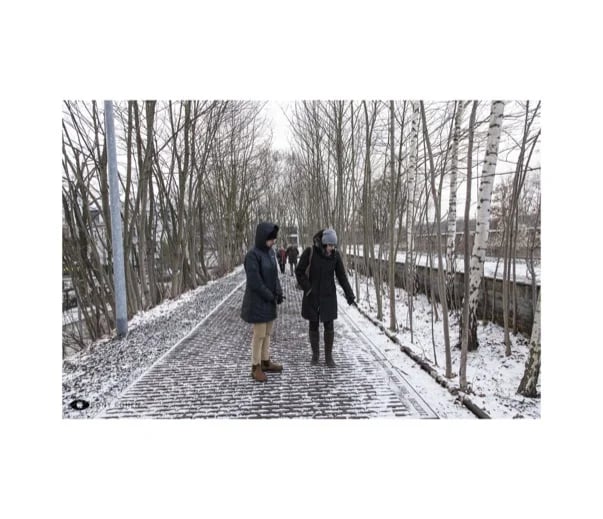 Guiding at the "Track 17" Monument in Grunewald