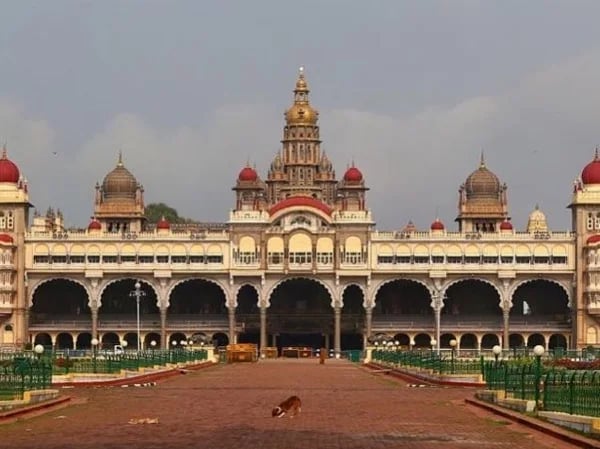 Cover media image