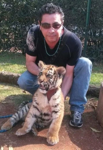 Our city zoo have a children's small cubs to enjoy