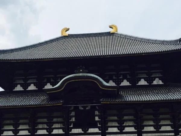 Half day tour in Nara - Private Tour