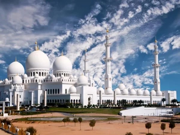 Cover media image
