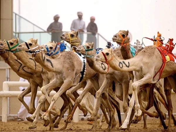 Cover media image