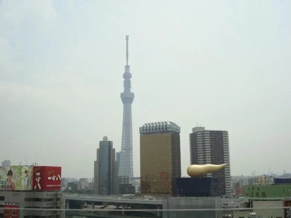Best of Tokyo in 5 hours - Private Tour