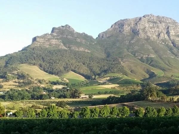 Cape Winelands - Stellenbosch .. Paarl and Franschoek
