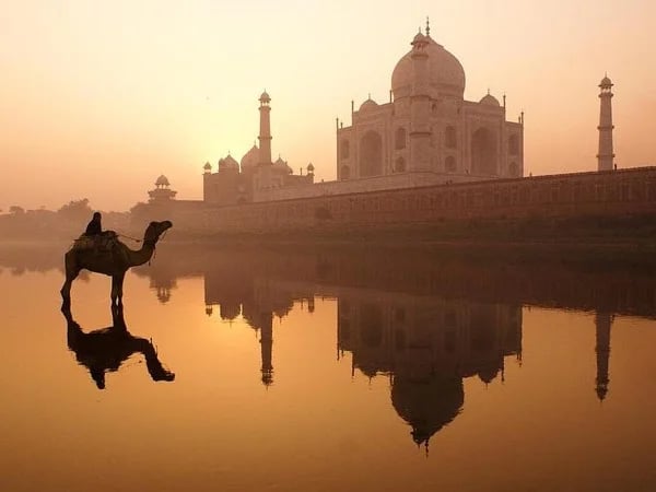 Cover media image