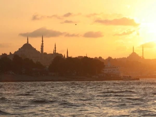 Cover media image