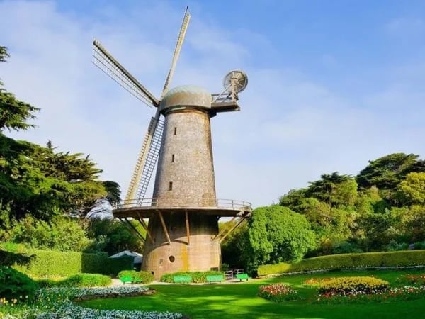 Golden Gate Park Tour