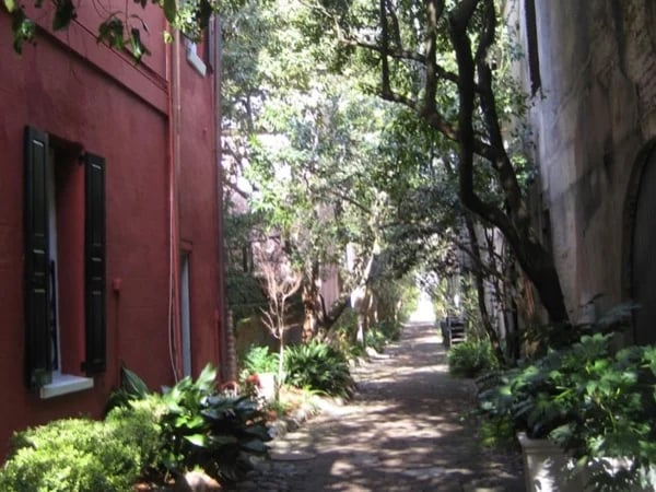 Cover media image