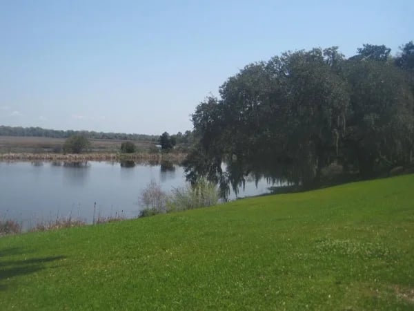 Charleston's Plantation Culture and History
