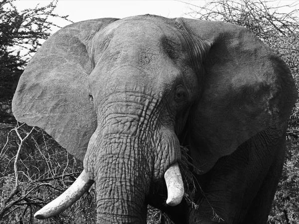 3 Day Namibian Safari