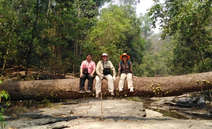 Khao yai national park trekking with private guide