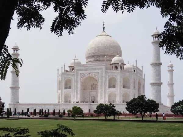 Cover media image