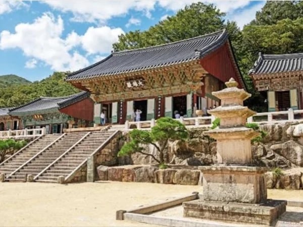 Busan Cultural Tour and Art Tour Customizable