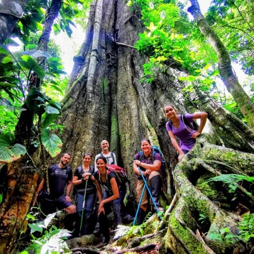 Private trekking around Ilha Grande