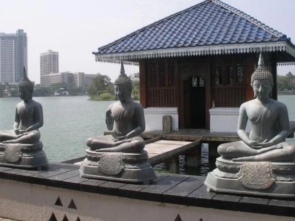 Cover media image
