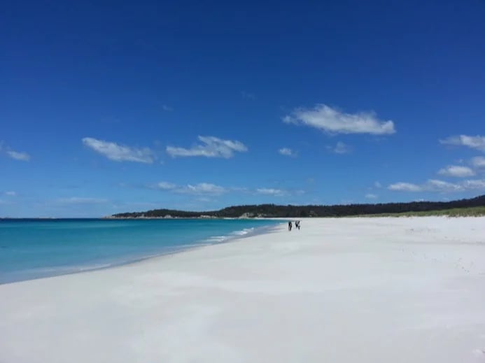 Taylor's Beach - Bay Of Fires