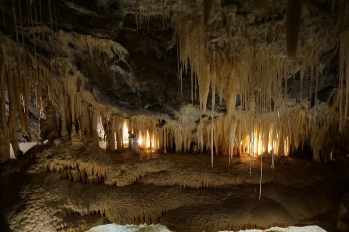 Marakoopa Cave - Mole Creek National Park