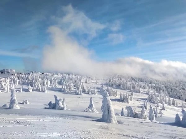 Ski vacation on Mount Kopaonik