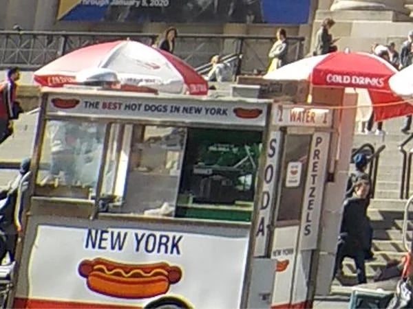 Three Hour New York Central Park Art and Food Tour