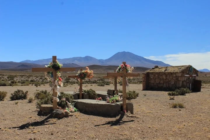 Jorge J.'s gallery
