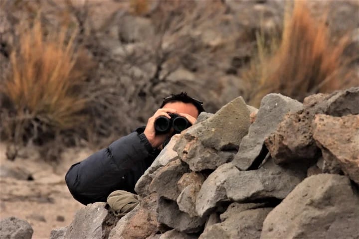 Jorge J.'s gallery