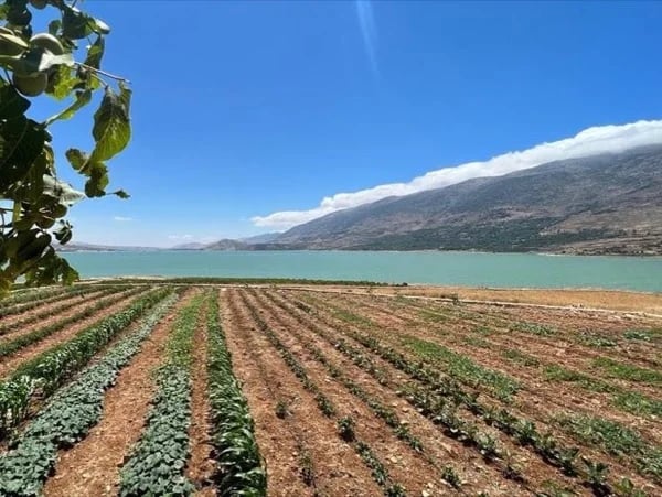 Cover media image
